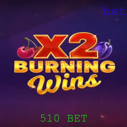 Descubra o Encantador Mundo de BurningWinsX2 com a Chave 510 BET